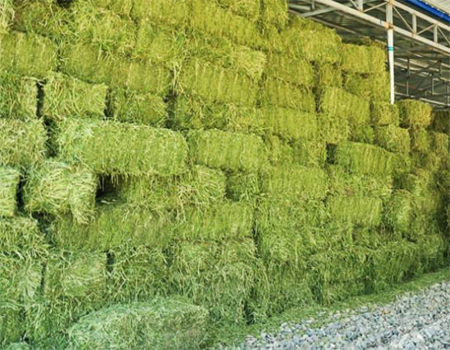 有機(jī)制肥設(shè)備分享在家如何自制有機(jī)肥? 有機(jī)制肥設(shè)備分享在家如何自制有機(jī)肥?